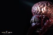 Resident Evil Life-Size Büste 1/1 Licker 50 cm