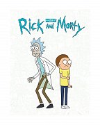 Rick and Morty Artbook The Art of Rick and Morty *Englische Version*