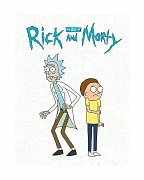 Rick and Morty Artbook The Art of Rick and Morty *Englische Version* --- BESCHAEDIGTE VERPACKUNG