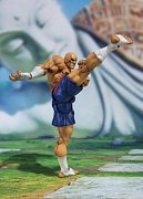 Street Fighter S.H. Figuarts Actionfigur Sagat Tamashii Web Exclusive 17 cm --- BESCHAEDIGTE VERPACKUNG