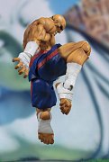 Street Fighter S.H. Figuarts Actionfigur Sagat Tamashii Web Exclusive 17 cm --- BESCHAEDIGTE VERPACKUNG