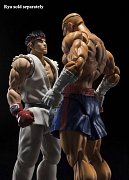 Street Fighter S.H. Figuarts Actionfigur Sagat Tamashii Web Exclusive 17 cm --- BESCHAEDIGTE VERPACKUNG