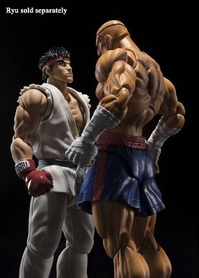 Street Fighter S.H. Figuarts Actionfigur Sagat Tamashii Web Exclusive 17 cm --- BESCHAEDIGTE VERPACKUNG