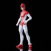The Amazing Spider-Man: Renew Your Vows Marvel Legends Actionfiguren 2er-Pack 2022 Spider-Man & Marvel\'s Spinneret 15 cm