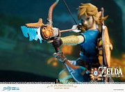 The Legend of Zelda Breath of the Wild PVC Statue Link Collector\'s Edition 25 cm --- BESCHAEDIGTE VERPACKUNG