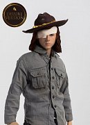 The Walking Dead Actionfigur 1/6 Carl Grimes Deluxe Version 29 cm