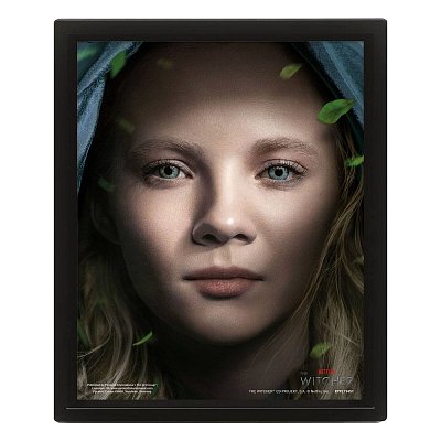 The Witcher 3D-Effekt Poster Set im Rahmen Intertwined 26 x 20 cm (3)