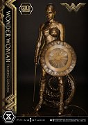 Wonder Woman Statue Wonder Woman Training Costume Gold Version 80 cm