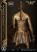 Wonder Woman Statue Wonder Woman Training Costume Gold Version 80 cm