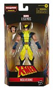 X-Men Marvel Legends Series Actionfigur 2022 Wolverine 15 cm