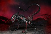 Aliens Actionfigur Night Cougar Alien (Kenner Tribute) 23 cm