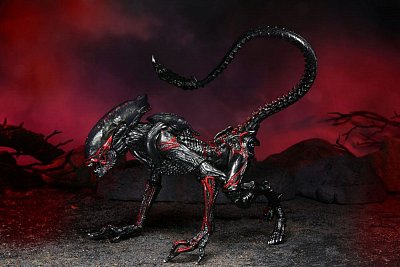 Aliens Actionfigur Night Cougar Alien (Kenner Tribute) 23 cm