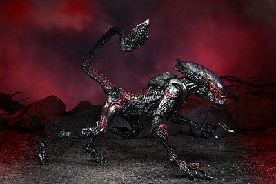 Aliens Actionfigur Night Cougar Alien (Kenner Tribute) 23 cm