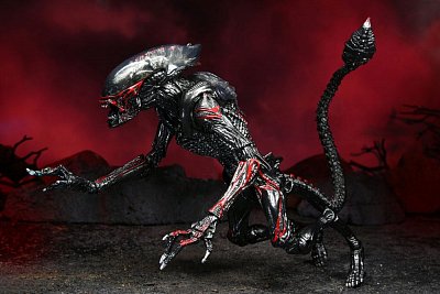 Aliens Actionfigur Night Cougar Alien (Kenner Tribute) 23 cm