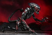 Aliens Actionfigur Night Cougar Alien (Kenner Tribute) 23 cm