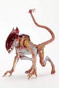 Aliens Actionfigur Panther Alien (Kenner Tribute) 23 cm