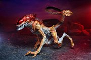 Aliens Actionfigur Panther Alien (Kenner Tribute) 23 cm