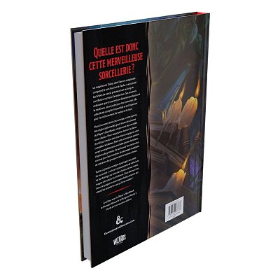 Dungeons & Dragons RPG Le Chaudron des Merveilles de Tasha französisch