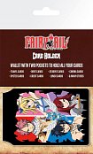 Fairy Tail Karten-Etuis Quad Umkarton (5)