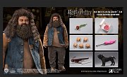 Harry Potter My Favourite Movie Actionfigur 1/6 Rubeus Hagrid 2.0 40 cm --- BESCHAEDIGTE VERPACKUNG