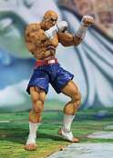 Street Fighter S.H. Figuarts Actionfigur Sagat Tamashii Web Exclusive 17 cm --- BESCHAEDIGTE VERPACKUNG