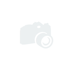 Universal Monsters Mini Büste Phantom der Oper 15 cm